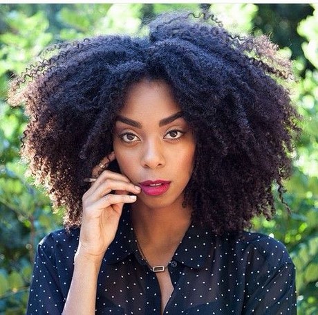 cheveux-afro-22_15 Cheveux afro