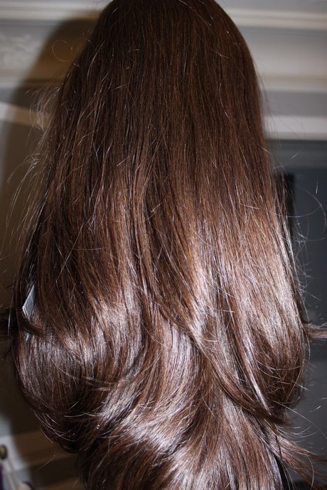 cheveux-long-naturel-82_14 Cheveux long naturel