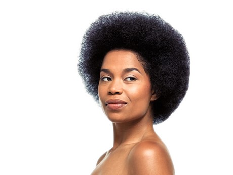 cheveux-naturels-afro-53 Cheveux naturels afro