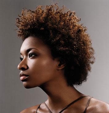 coiffure-afro-femme-19_12 Coiffure afro femme