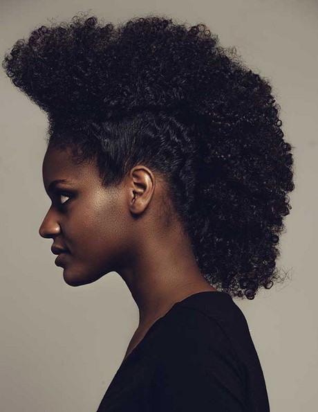 coiffure-afro-femme-19_18 Coiffure afro femme