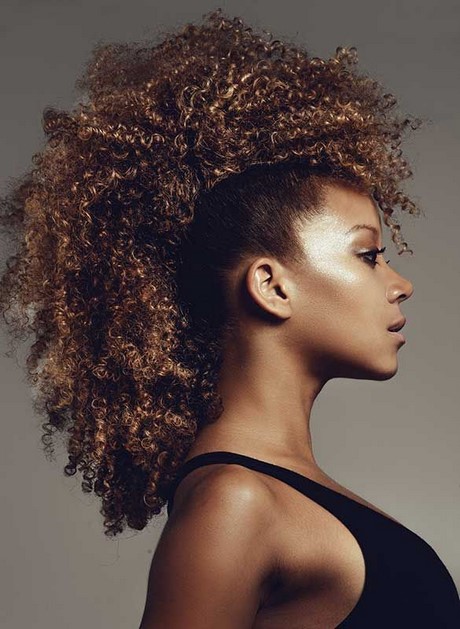 coiffure-afro-femme-19_6 Coiffure afro femme