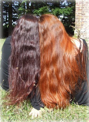 long-cheveux-naturel-13_17 Long cheveux naturel