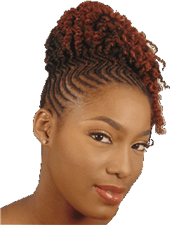 modele-tresse-africaine-coiffure-afro-80 Modele tresse africaine coiffure afro