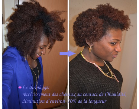 cheveux-afro-fins-48_2 Cheveux afro fins