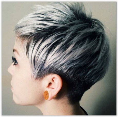 couleur-cheveux-gris-29_3 Couleur cheveux gris