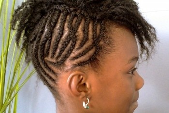 coiffure-afro-tendance-81_8 Coiffure afro tendance