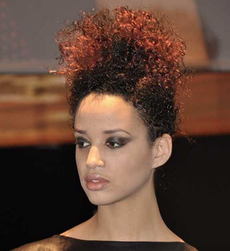 coiffure-femme-afro-antillaise-44_16 Coiffure femme afro antillaise