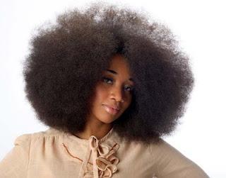 coiffure-naturelle-afro-95 Coiffure naturelle afro