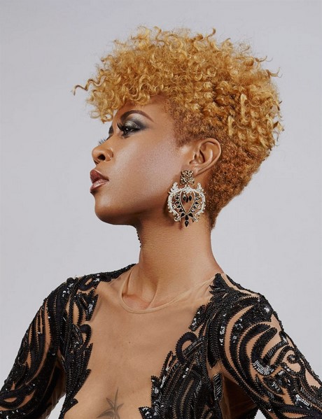 coiffure-cheveux-afro-femme-96 Coiffure cheveux afro femme