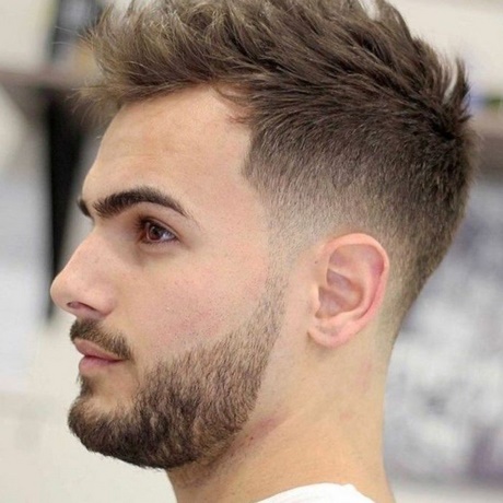 degrade-homme-coiffure-11 Degrade homme coiffure