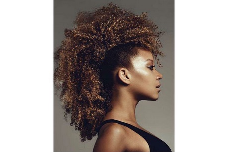 photo-coiffure-afro-38 Photo coiffure afro