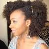 Cheveux afro coiffure